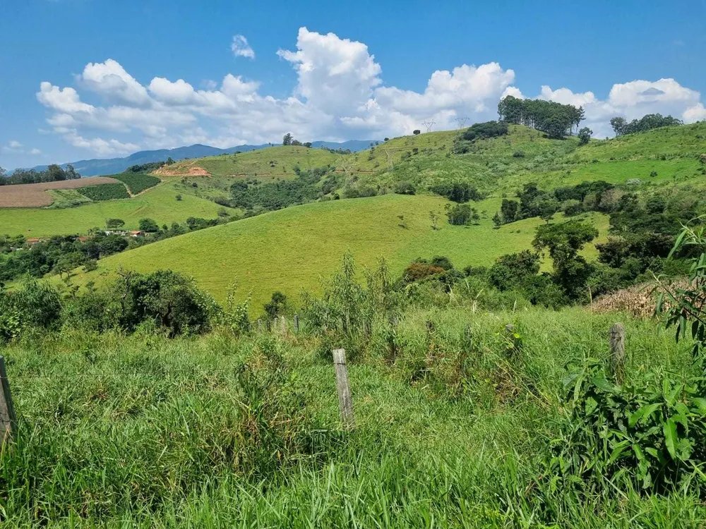 Fazenda, 226 hectares - Foto 18