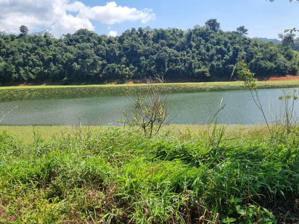 Fazenda, 226 hectares - Foto 1