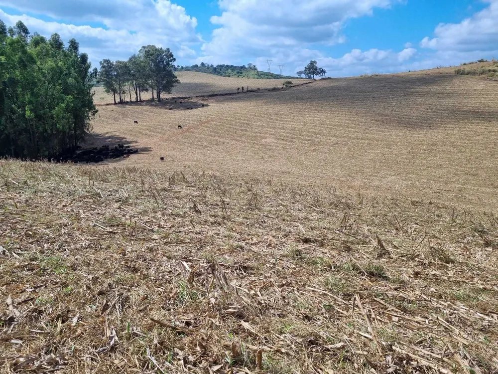 Fazenda, 226 hectares - Foto 25
