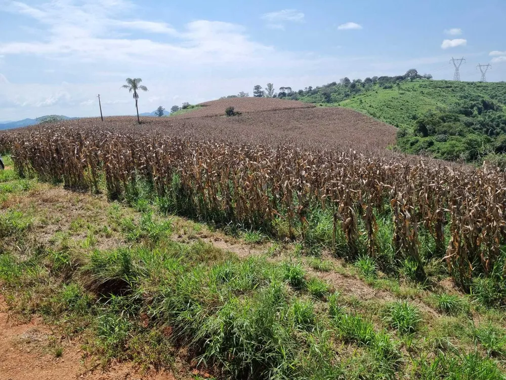Fazenda, 226 hectares - Foto 15