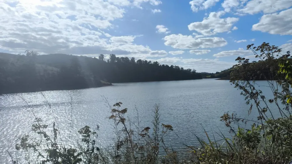 Fazenda, 226 hectares - Foto 4