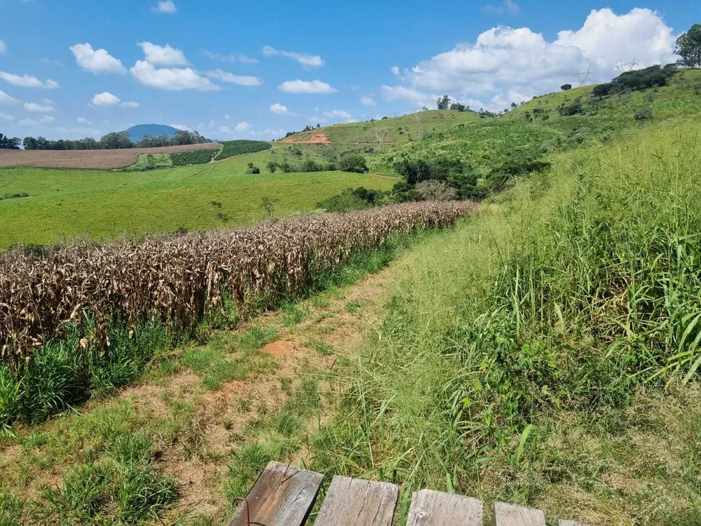 Fazenda, 226 hectares - Foto 9