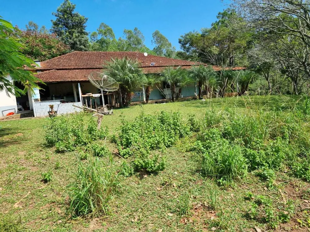 Fazenda, 226 hectares - Foto 20