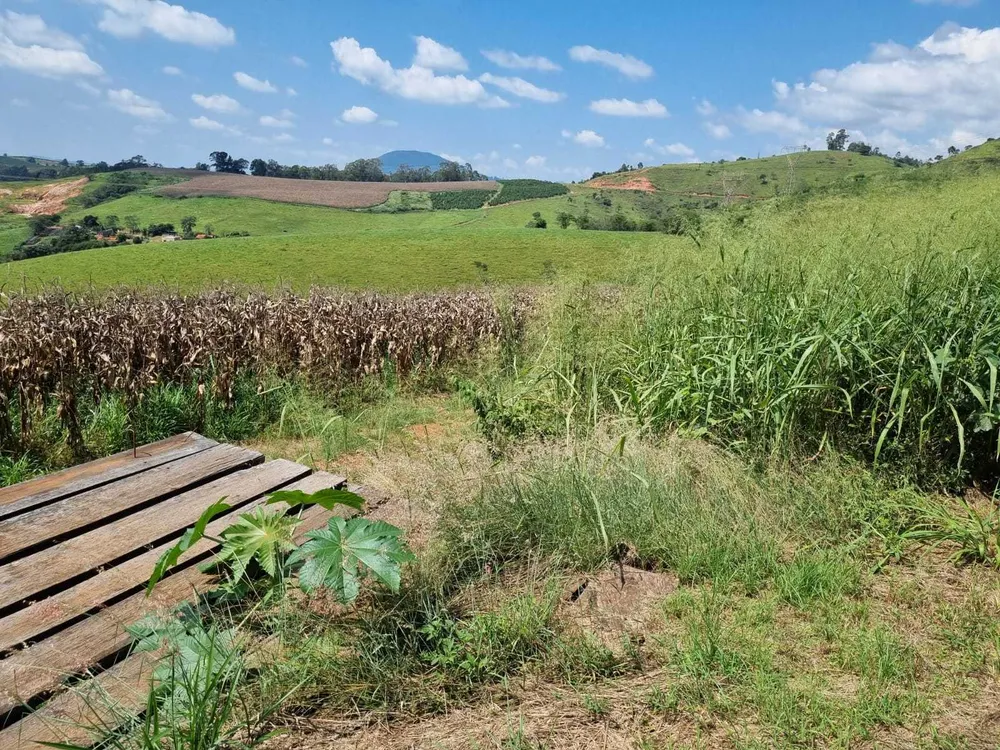 Fazenda, 226 hectares - Foto 7