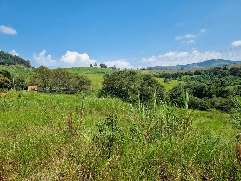 Fazenda, 226 hectares - Foto 3