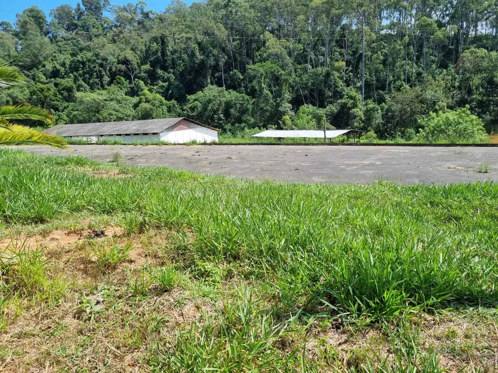 Fazenda, 226 hectares - Foto 17