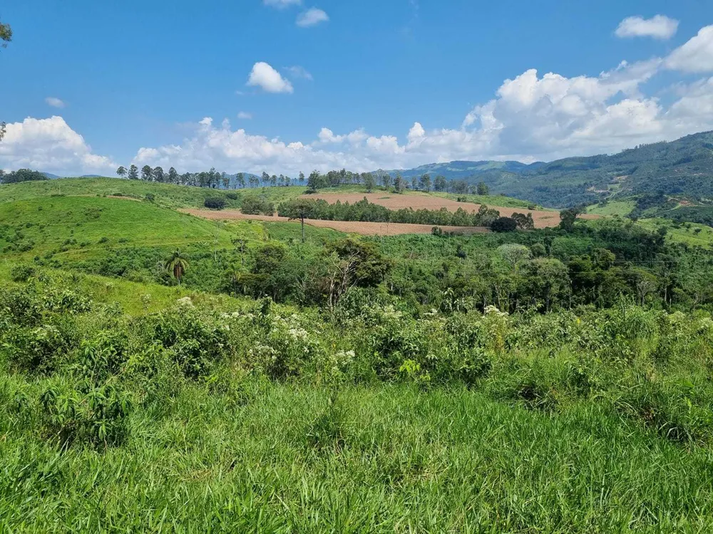 Fazenda, 226 hectares - Foto 11