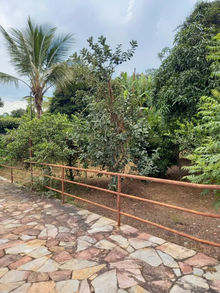 Casa, 4 quartos, 1640 m² - Foto 6