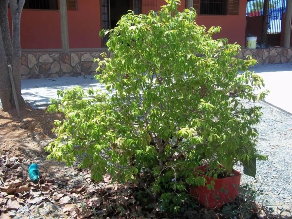 Casa, 3 quartos, 130 m² - Foto 13
