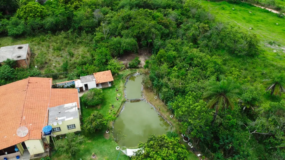 Chácara, 1 quarto, 2800 m² - Foto 2