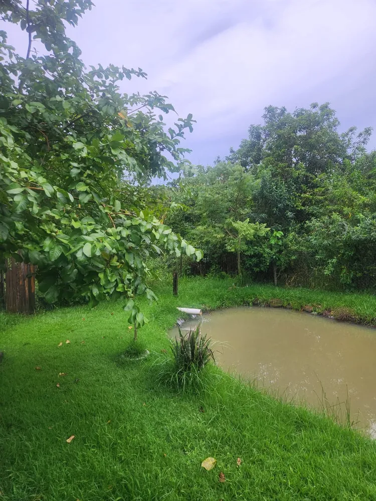 Chácara, 1 quarto, 2800 m² - Foto 3