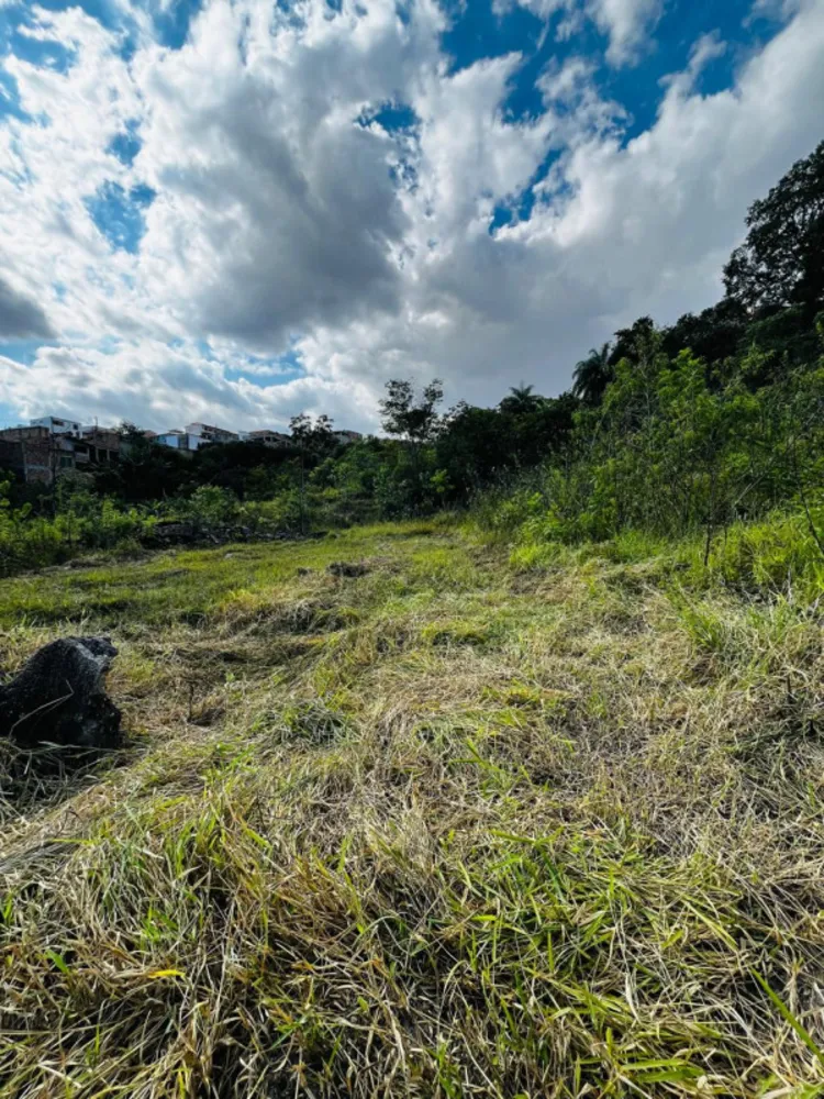 Terreno, 257 m² - Foto 9