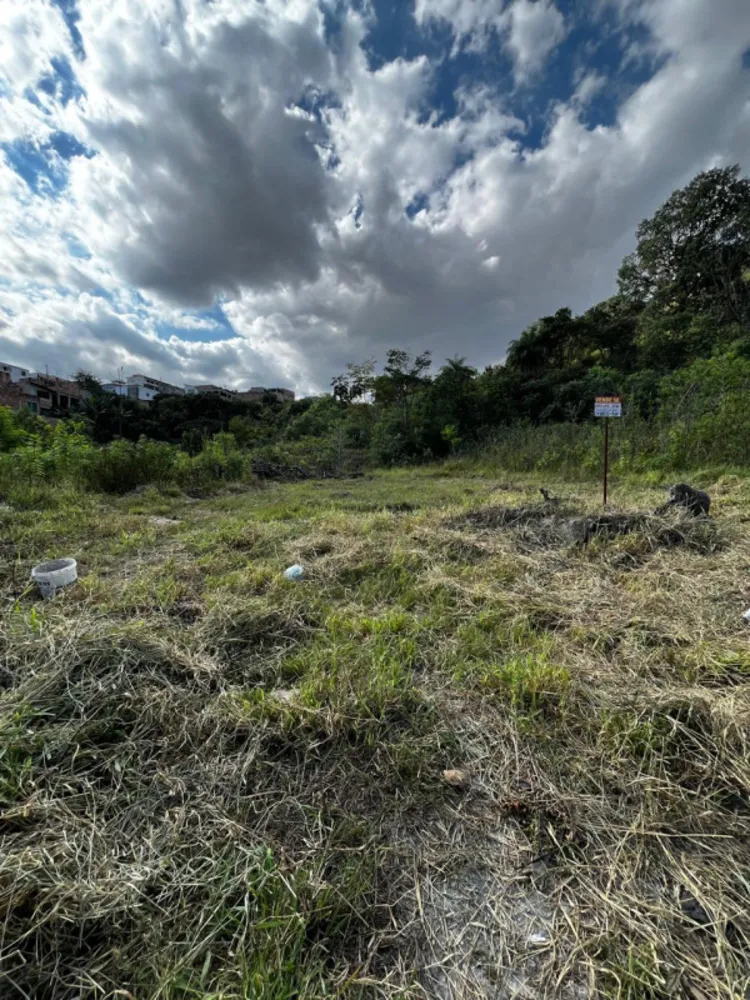 Terreno, 257 m² - Foto 11