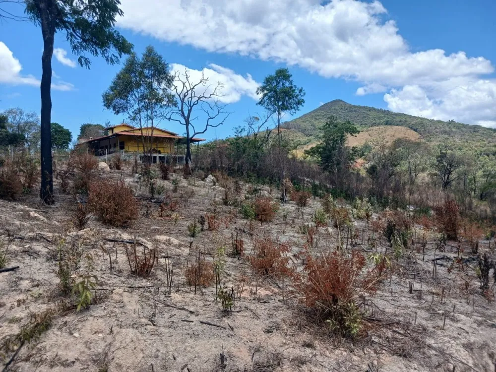Terreno, 1000 m² - Foto 2