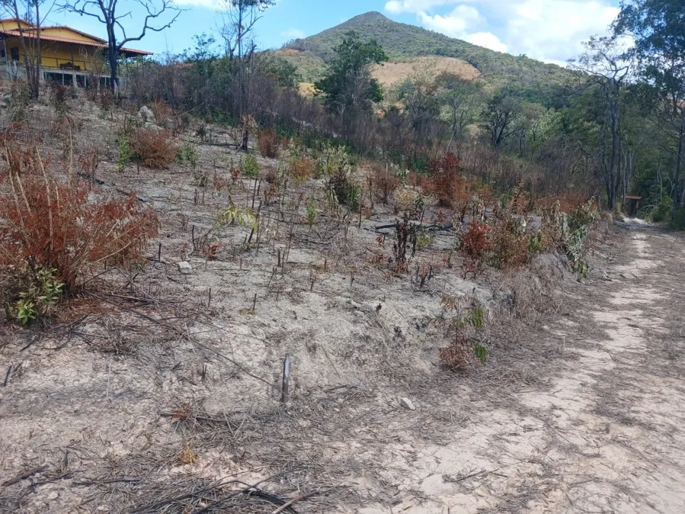 Terreno, 1000 m² - Foto 7