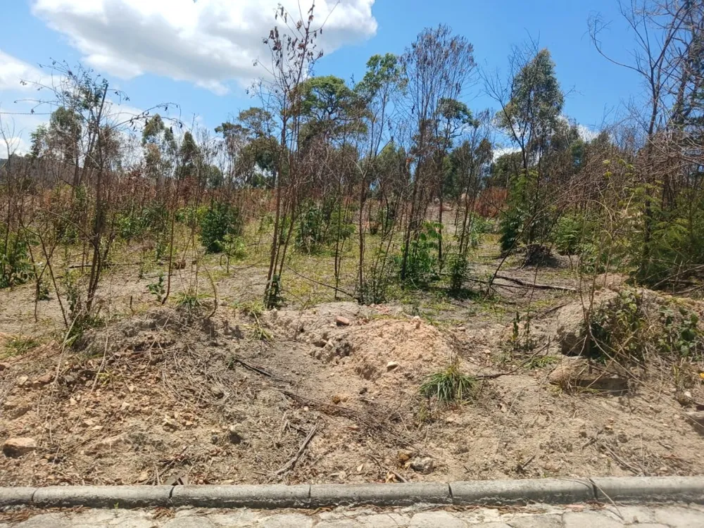 Terreno, 1000 m² - Foto 5