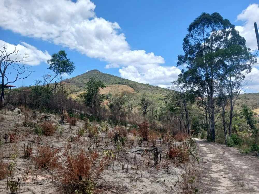 Terreno, 1000 m² - Foto 13