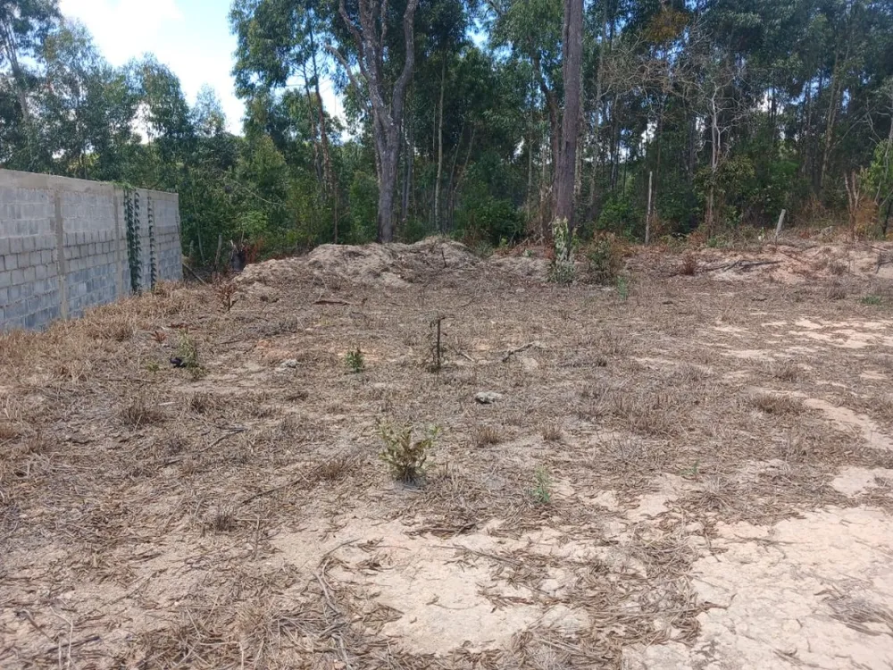 Terreno, 1000 m² - Foto 12