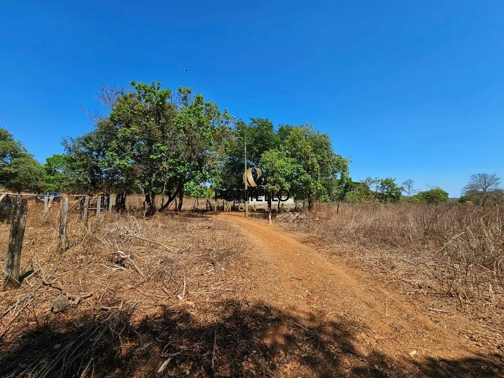 Fazenda, 15 hectares - Foto 8