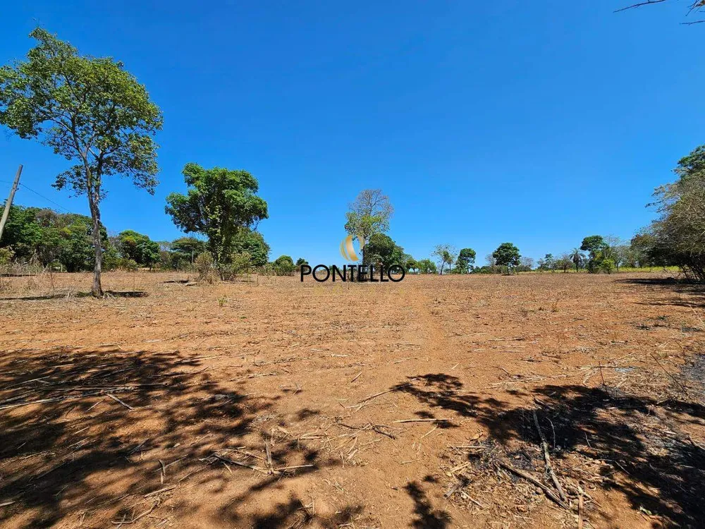 Fazenda, 15 hectares - Foto 6