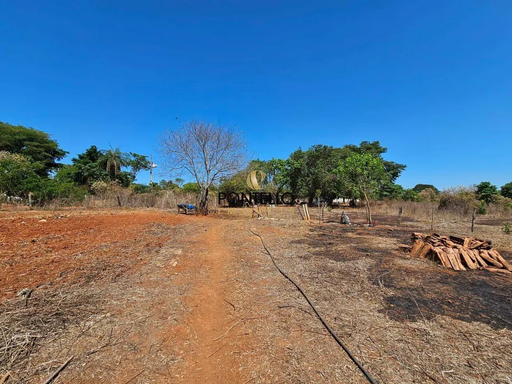 Fazenda, 15 hectares - Foto 2