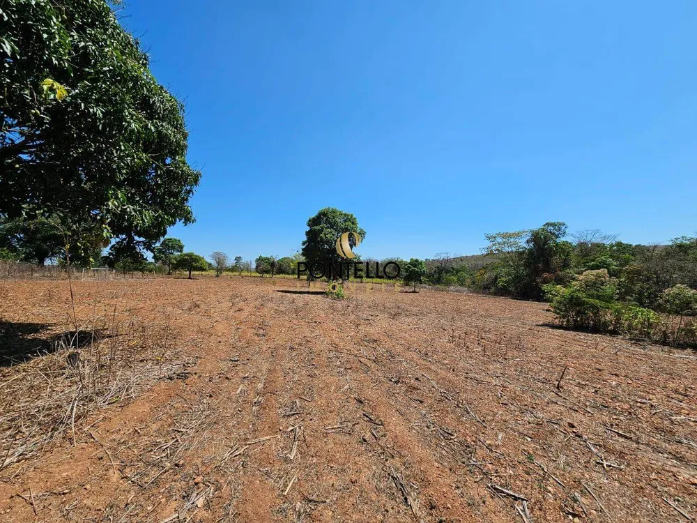 Fazenda, 15 hectares - Foto 5