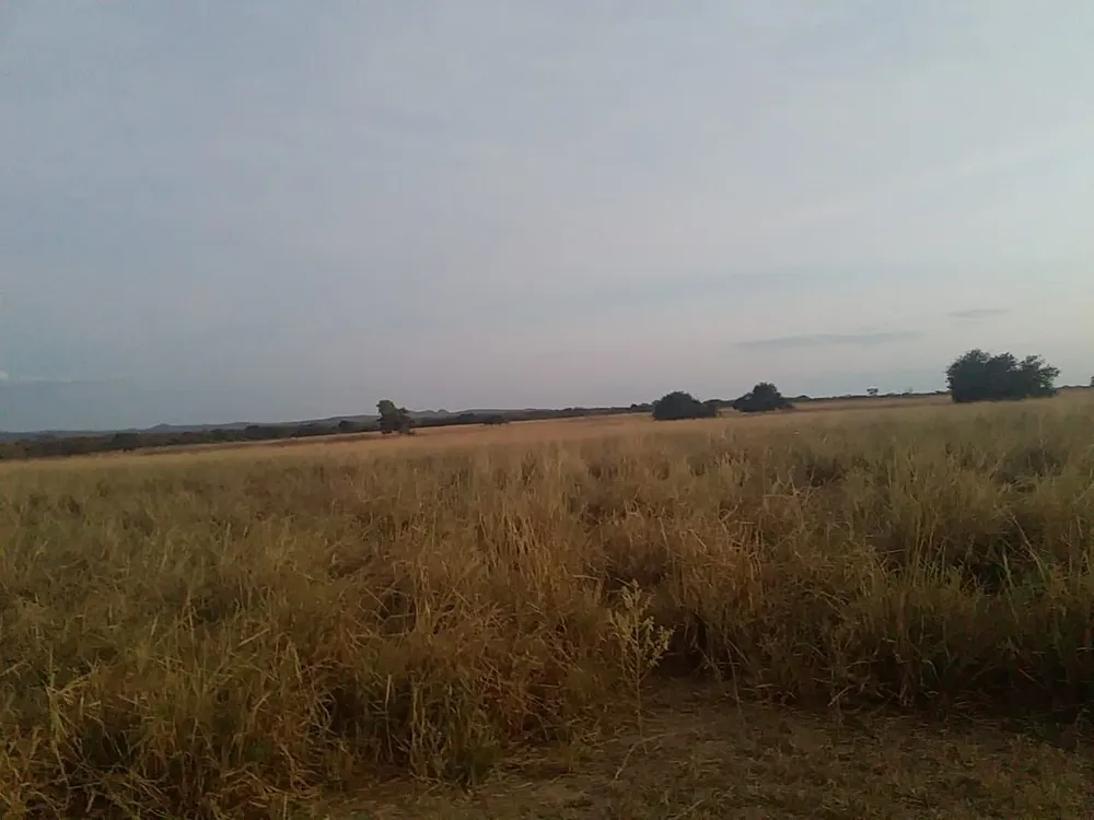 Fazenda, 1 quarto - Foto 10