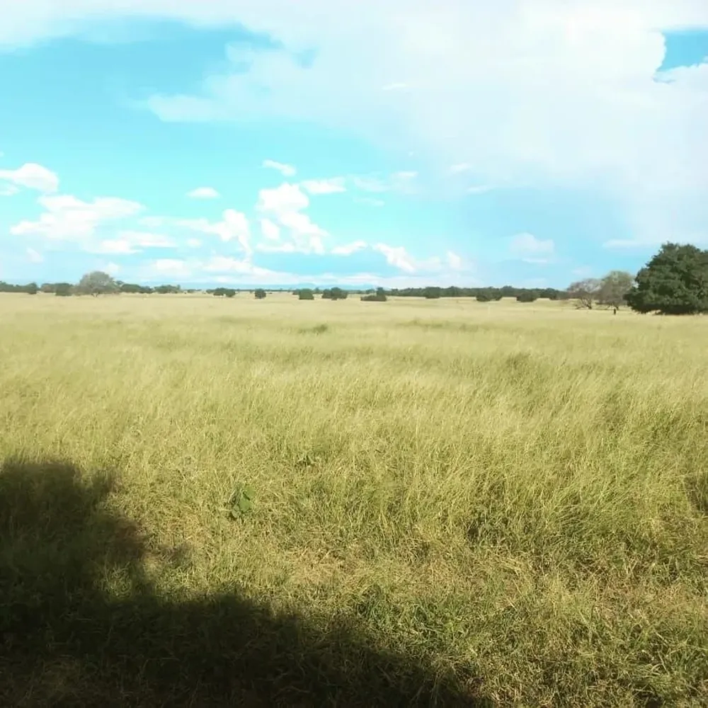 Fazenda, 1 quarto - Foto 3