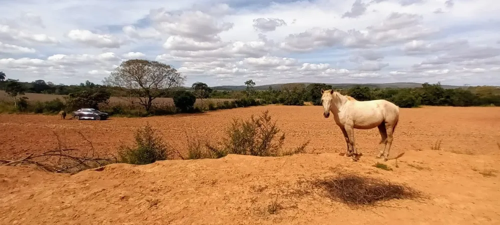 Fazenda, 1 quarto - Foto 7