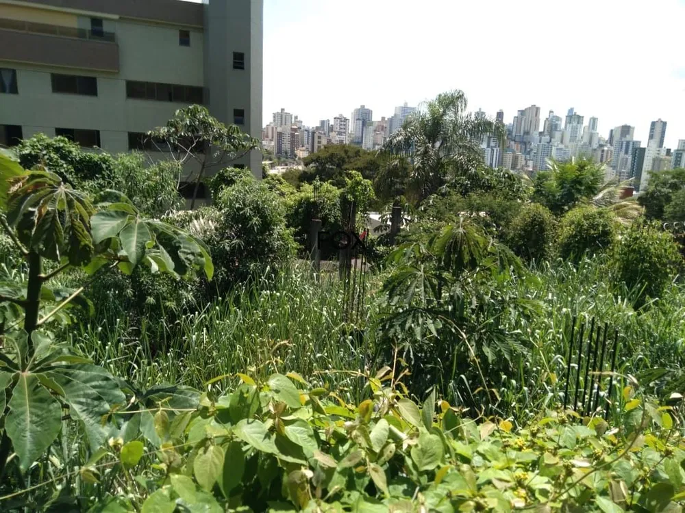 Terreno, 904 m² - Foto 6