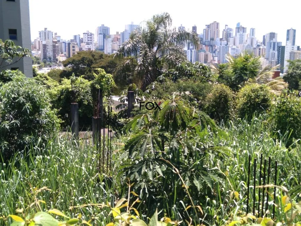 Terreno, 904 m² - Foto 5