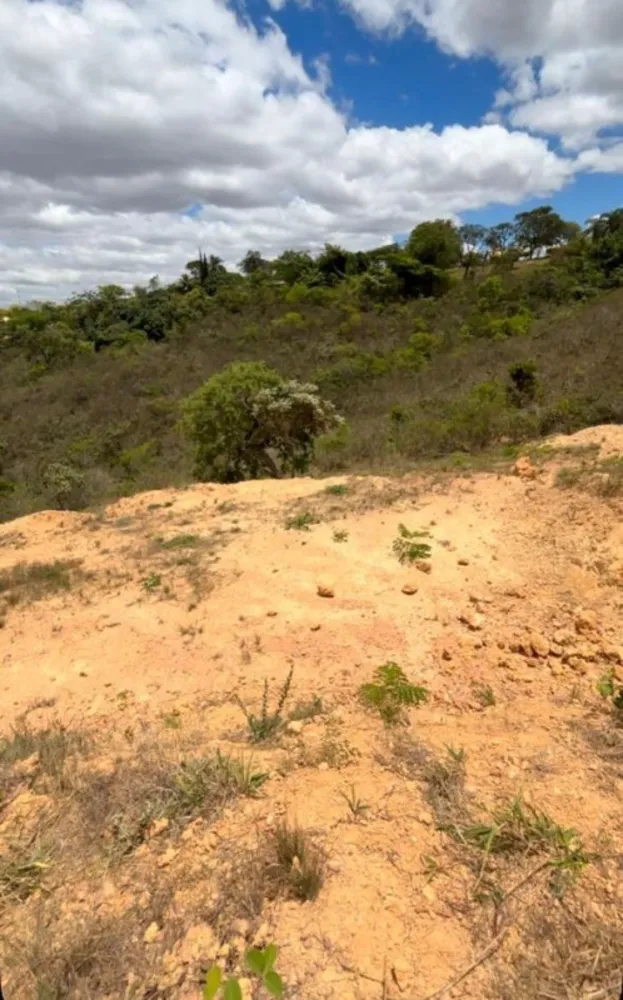 Terreno, 1000 m² - Foto 3