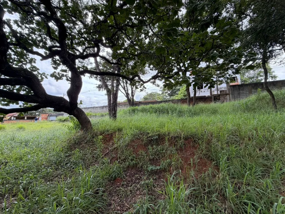 Terreno, 4000 m² - Foto 11
