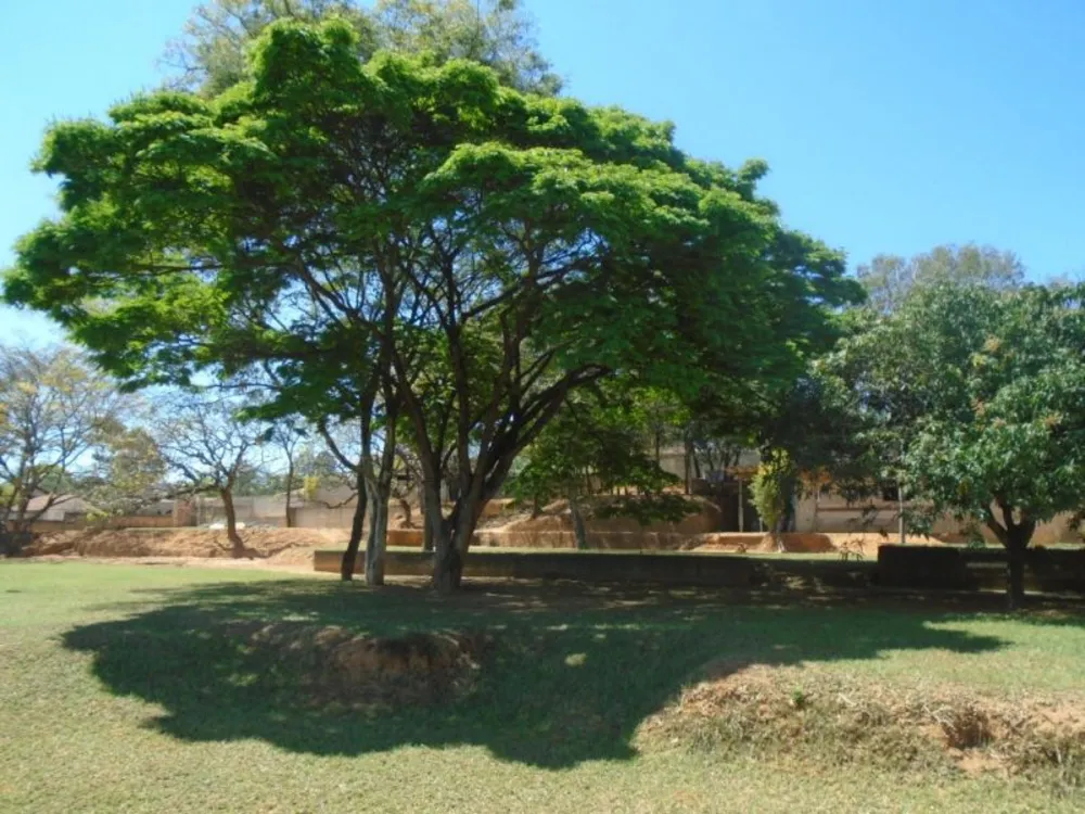 Terreno, 4000 m² - Foto 5