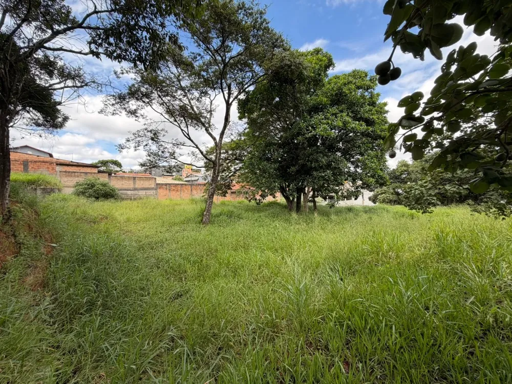 Terreno, 4000 m² - Foto 12