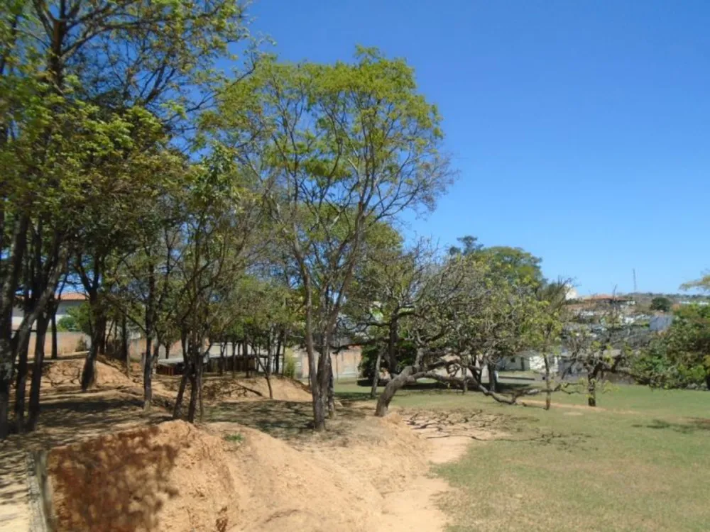 Terreno, 4000 m² - Foto 6