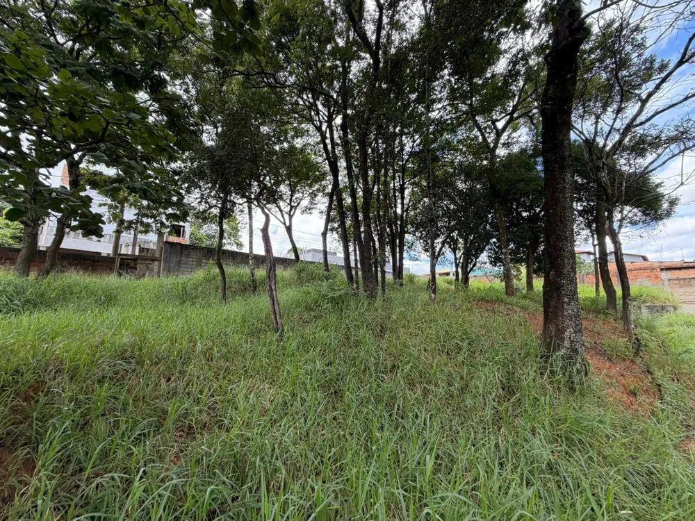 Terreno, 4000 m² - Foto 10