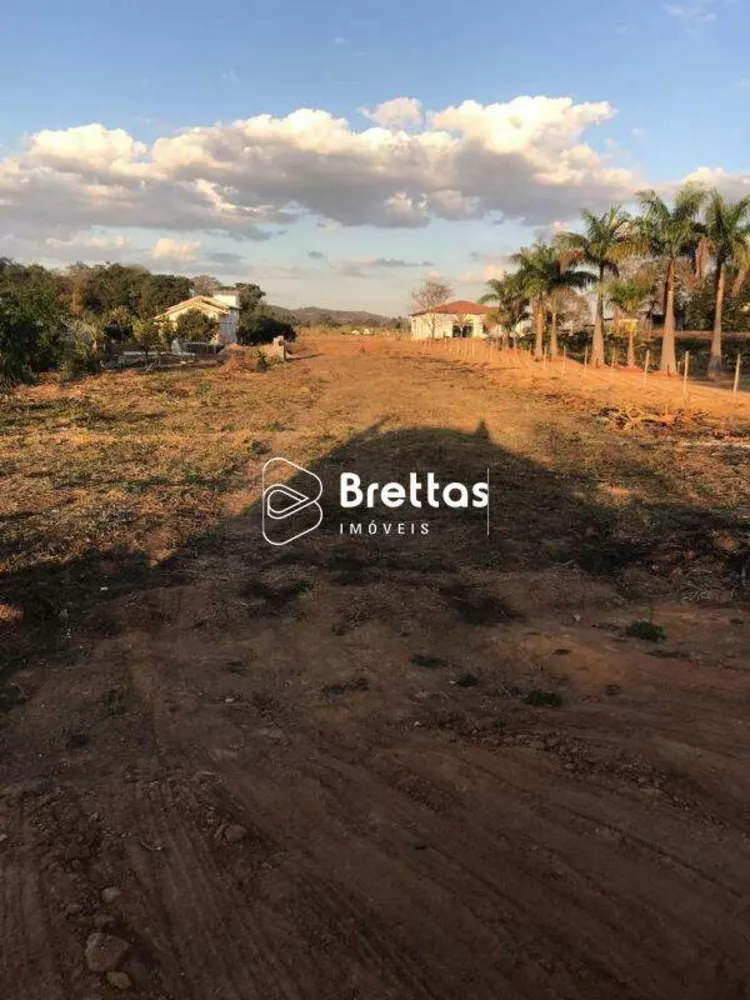 Terreno, 2817 m² - Foto 6