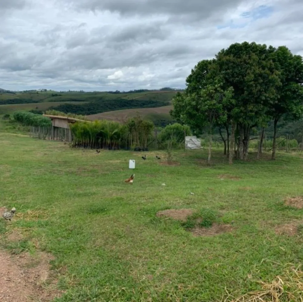 Fazenda, 119 hectares - Foto 7