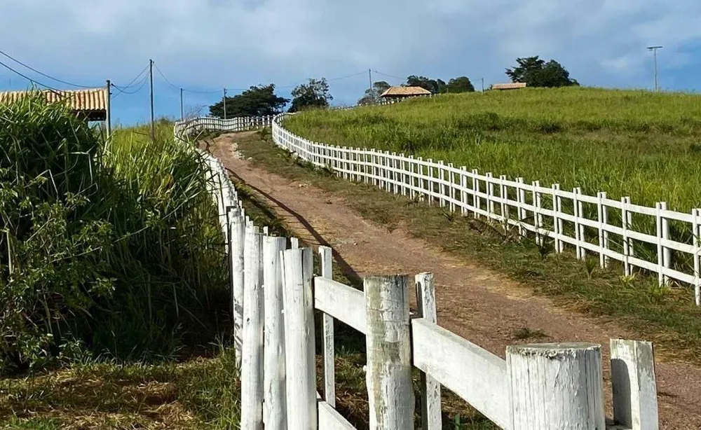 Fazenda, 119 hectares - Foto 3