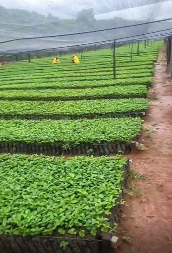 Fazenda, 1 quarto - Foto 2