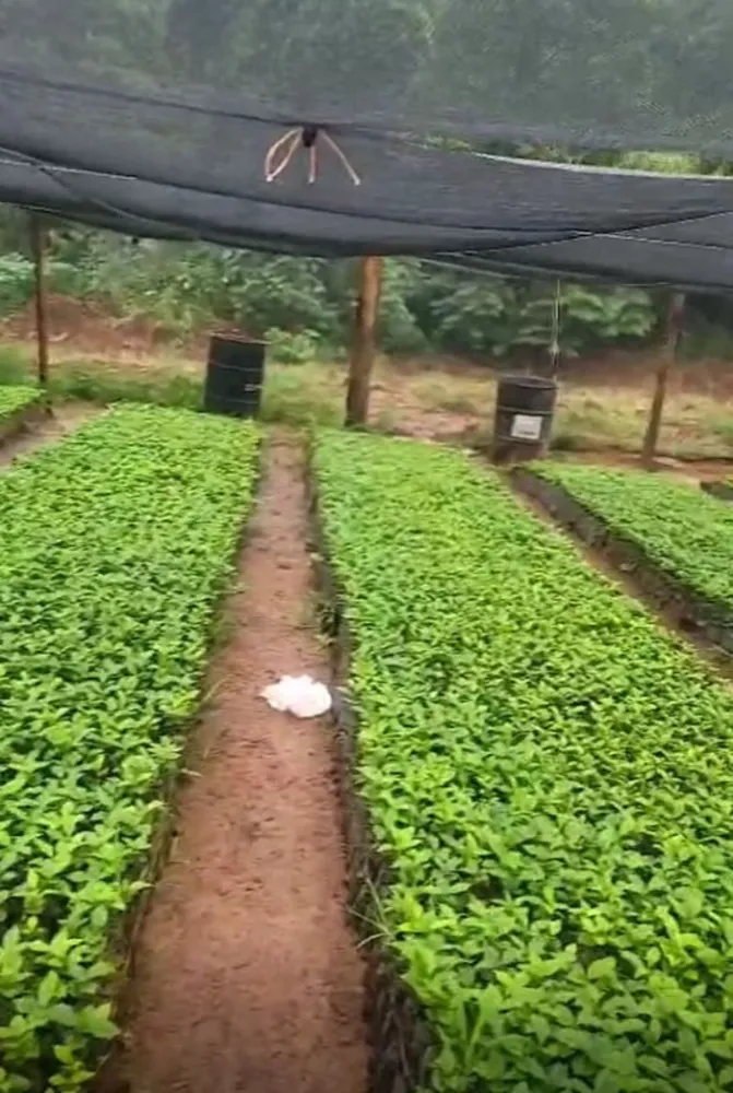 Fazenda, 1 quarto - Foto 5