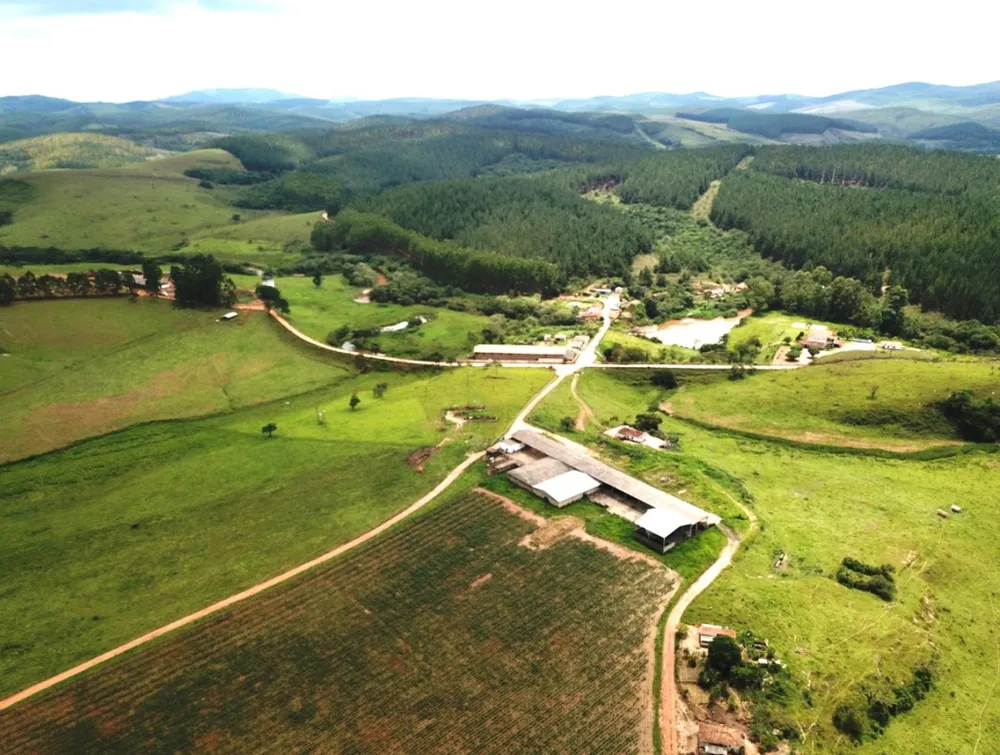 Fazenda, 853 hectares - Foto 7