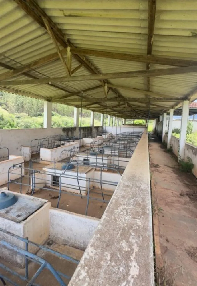Fazenda, 853 hectares - Foto 6