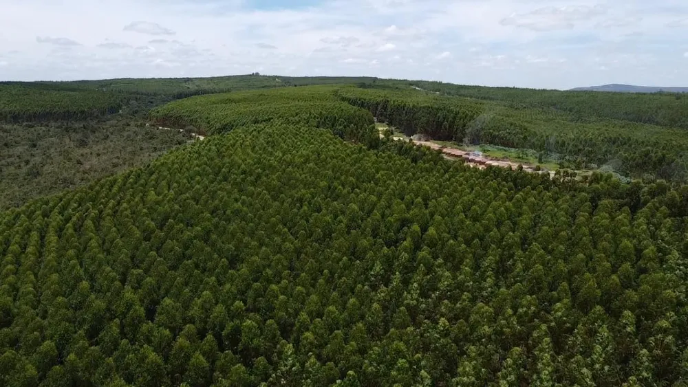 Fazenda, 1 quarto - Foto 4