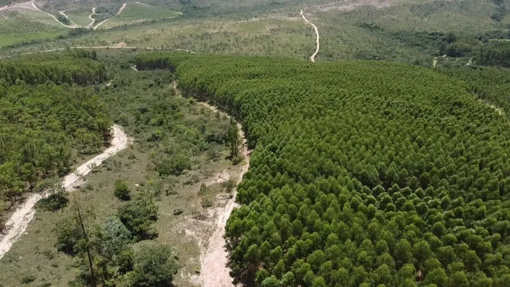 Fazenda, 1 quarto - Foto 2