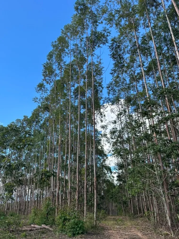 Fazenda, 1 quarto - Foto 5