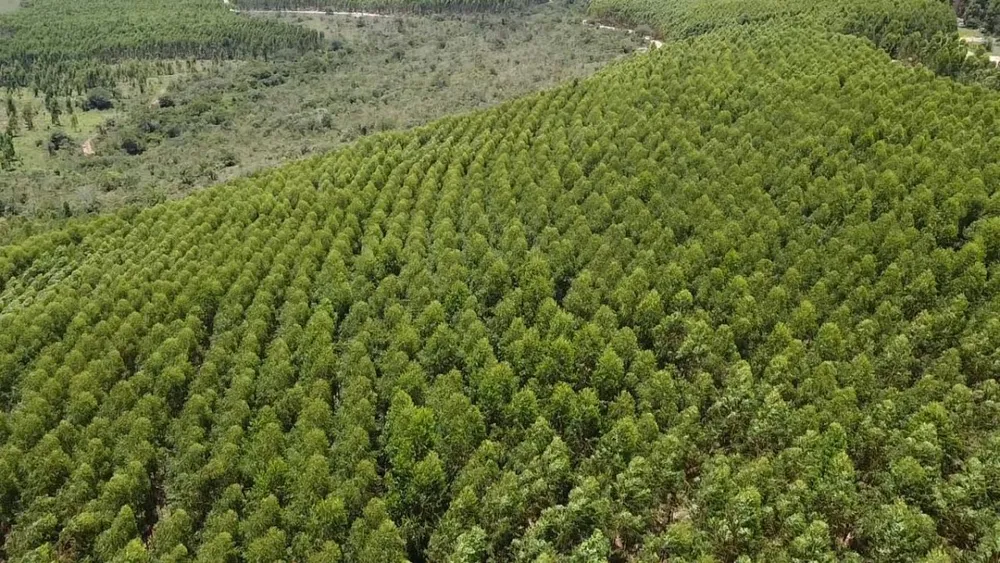 Fazenda, 1 quarto - Foto 7