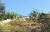 Terreno, 1000 m² - Foto 4
