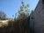 Terreno, 1000 m² - Foto 3
